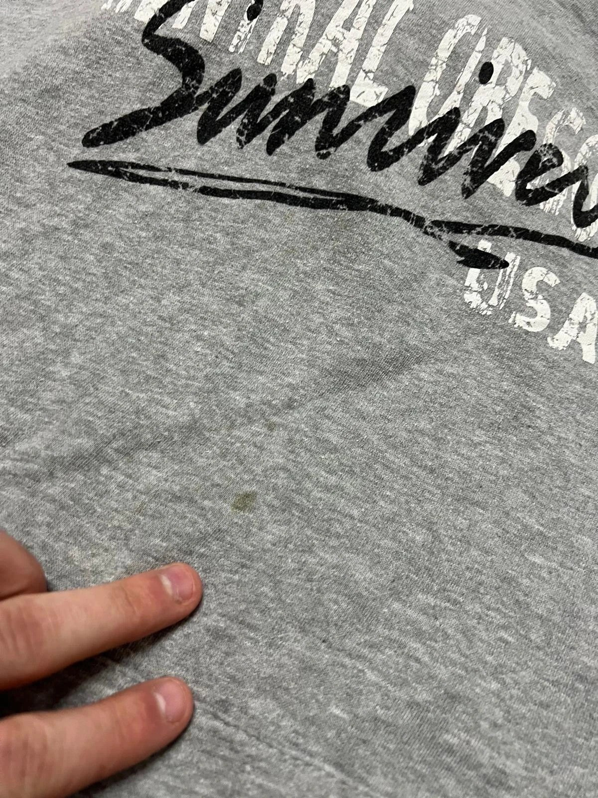 Central Oregon Graphic Hoodie Grey Size XXL