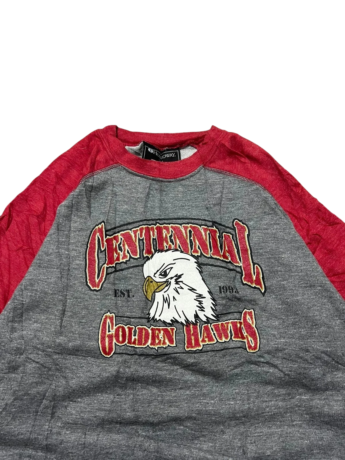 Premier Vintage grey raglan sweatshirt with red sleeves, featuring a Golden Hawks eagle graphic and "Est. 1993" detail.