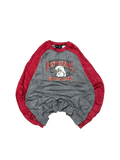 Premier Vintage grey raglan sweatshirt with red sleeves, featuring a Centennial Golden Hawks eagle graphic and "Est. 1993".