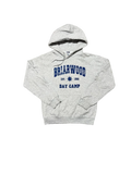 Premier Vintage grey cotton blend pullover hoodie with Briarwood Day Camp graphic print, drawstring hood, and kangaroo pocket. Size S.