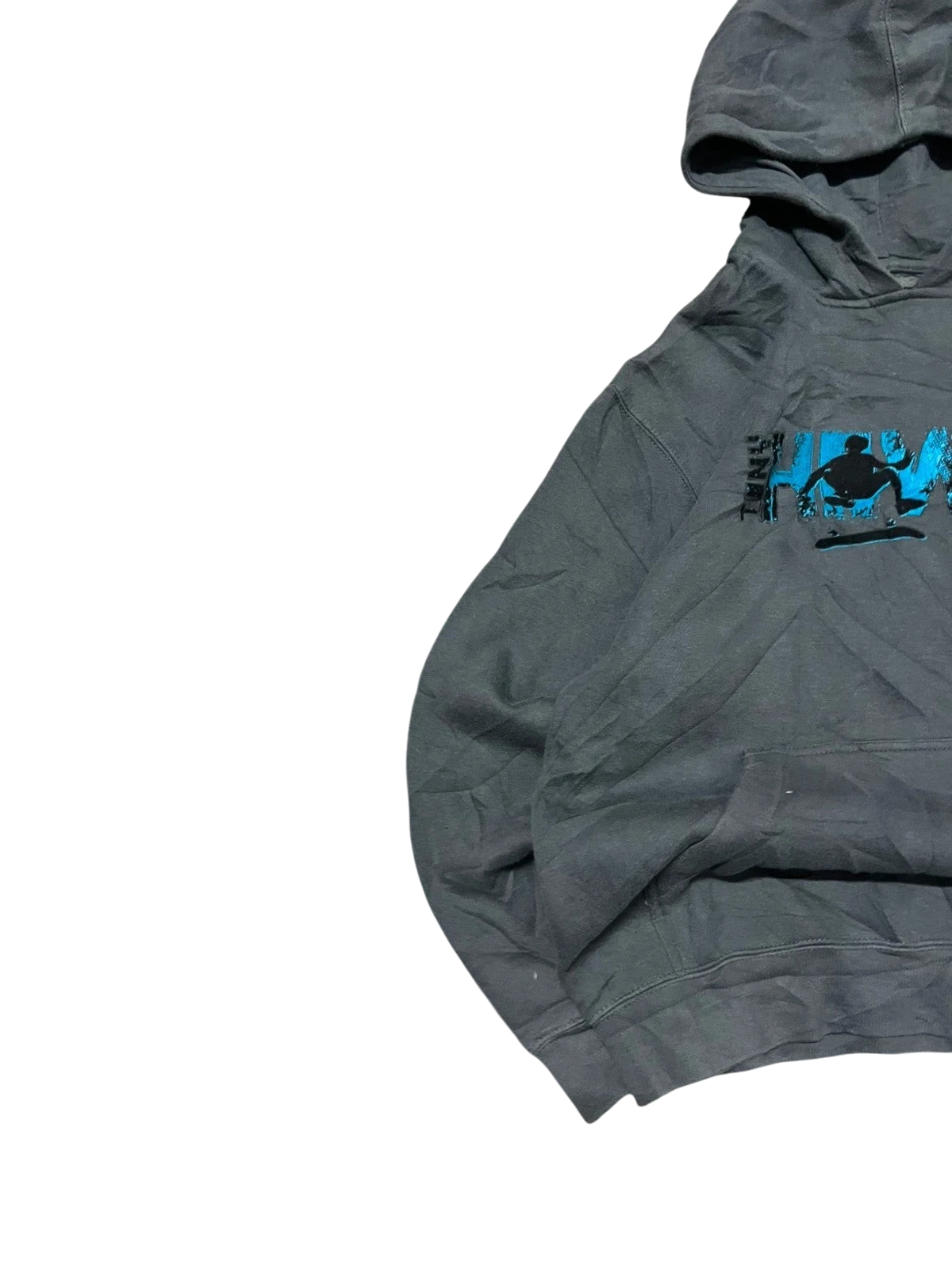 Premier Vintage grey graphic hoodie with