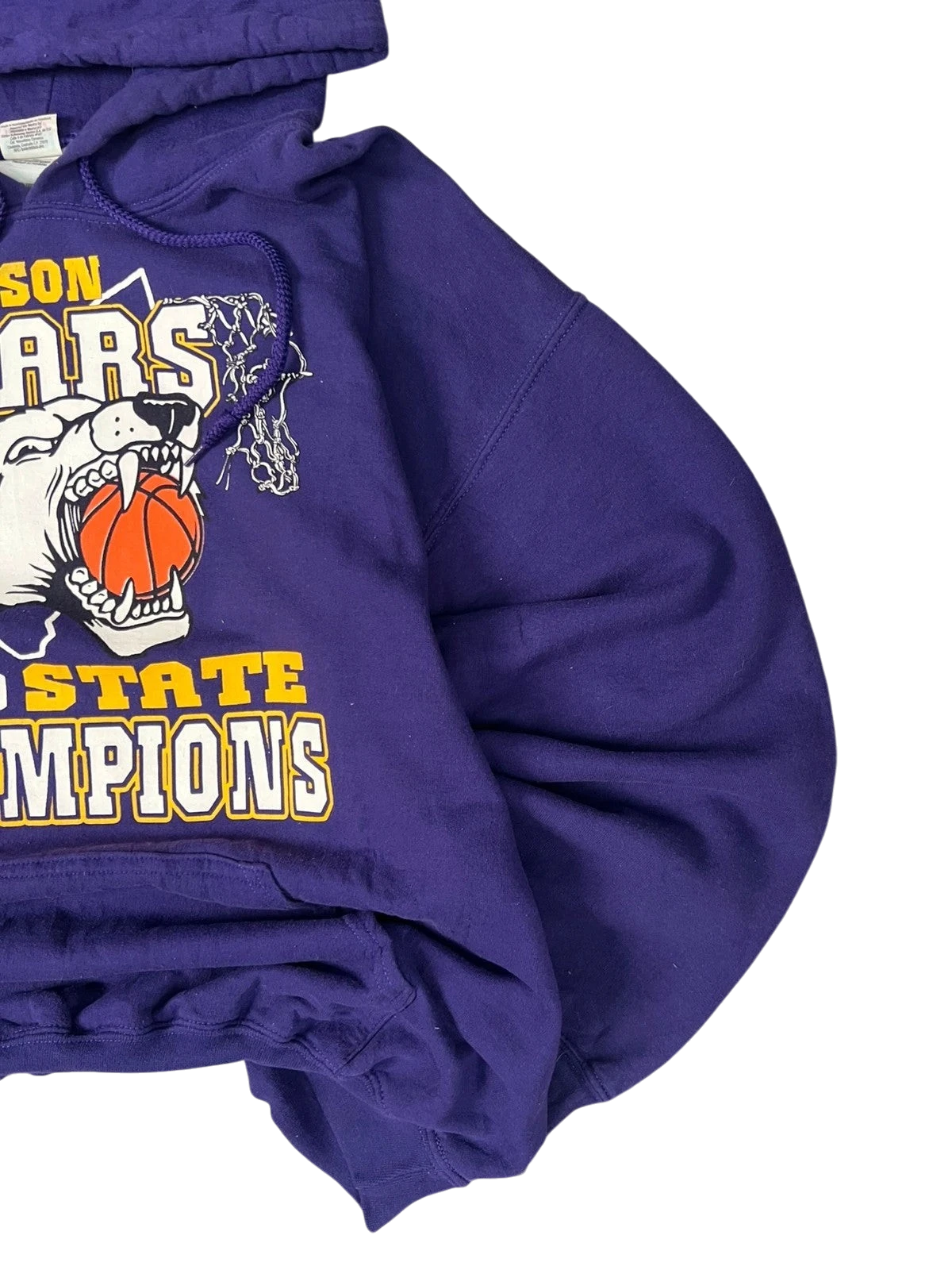 Premier Vintage Jackson Bears 2010 State Champions purple hoodie with graphic of a bear holding a basketball.