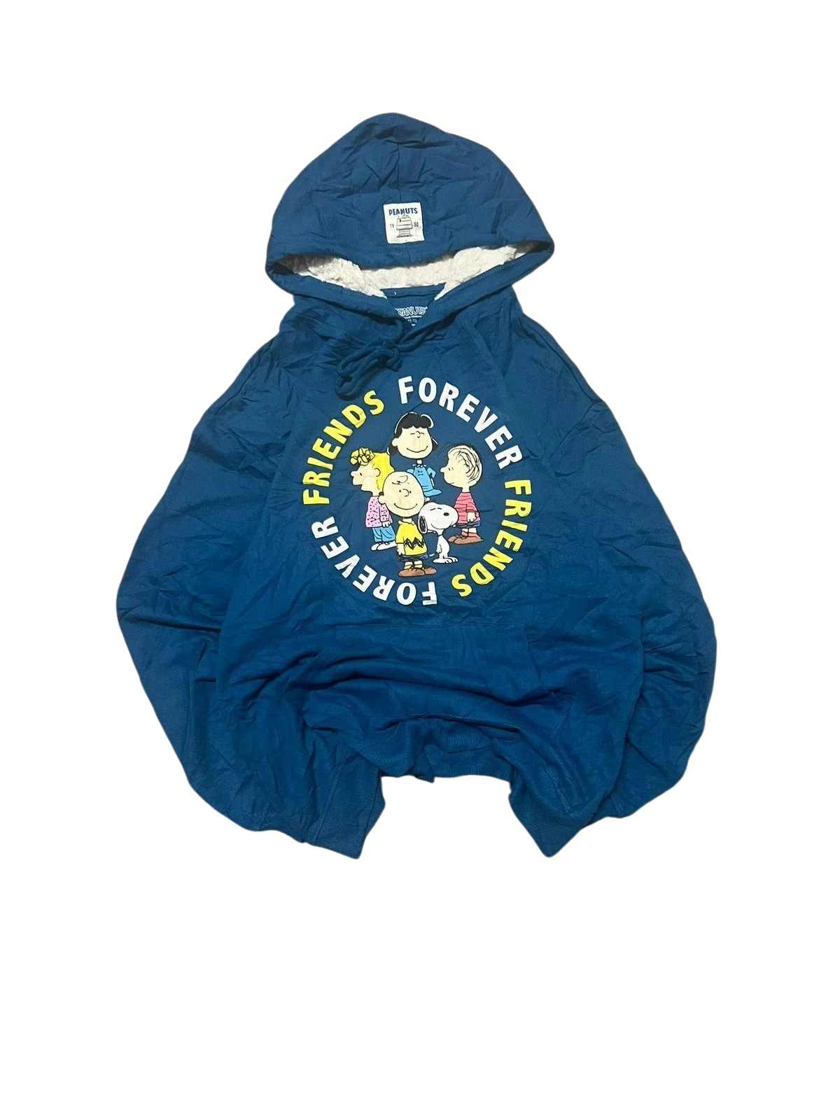 Premier Vintage blue Peanuts graphic hoodie with