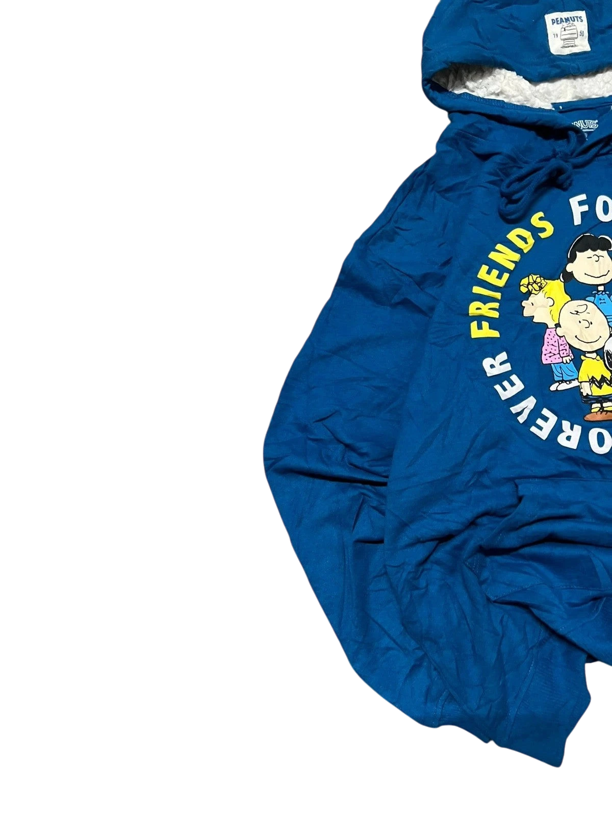 Premier Vintage blue Peanuts graphic hoodie with "Forever Friends" slogan and character print. Soft fabric, relaxed fit, attached hood.