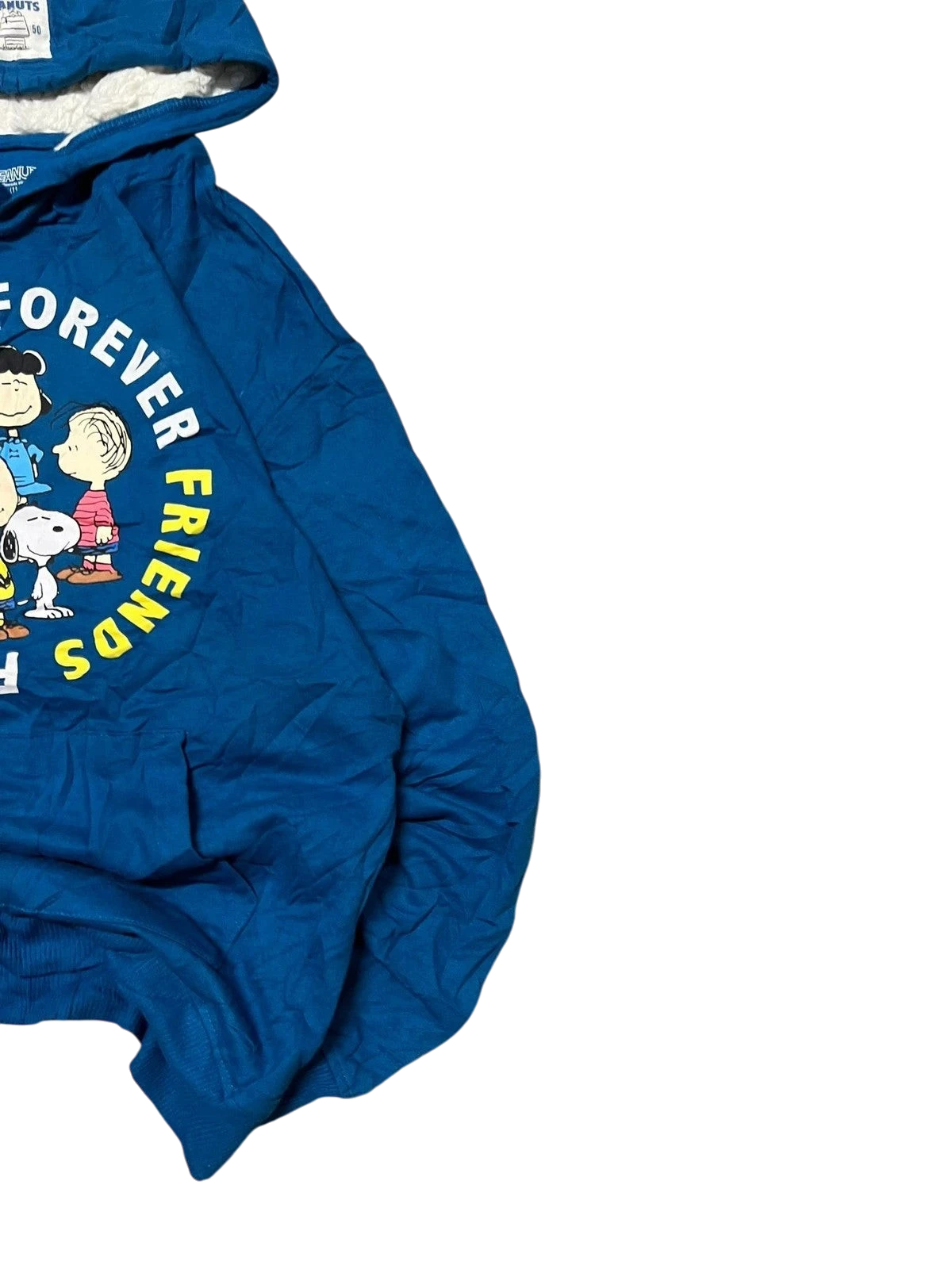 Premier Vintage blue Peanuts graphic hoodie with "Forever Friends" slogan and character print. Features a hood and long sleeves.