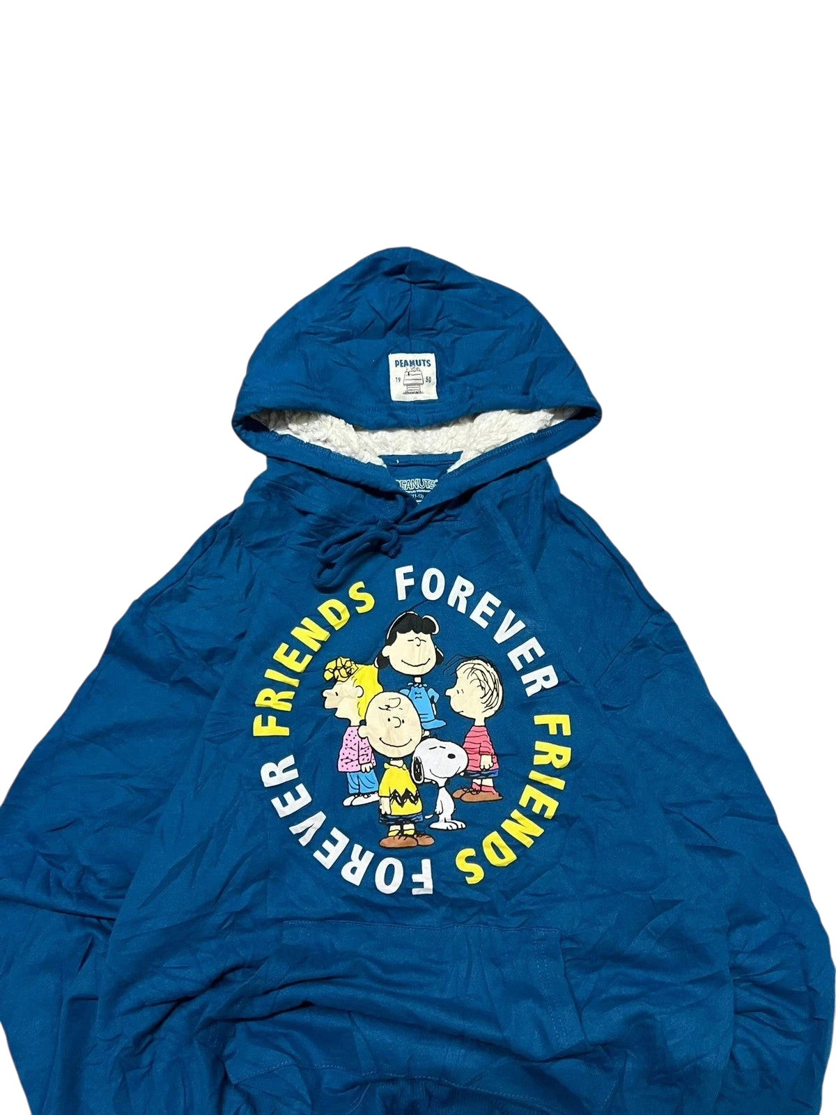 Premier Vintage blue Peanuts graphic hoodie with "Forever Friends" slogan and character print. Features a hood and soft lining.