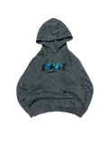 Premier Vintage grey graphic hoodie with "HAWK" text and skateboarder silhouette on chest, kangaroo pocket.
