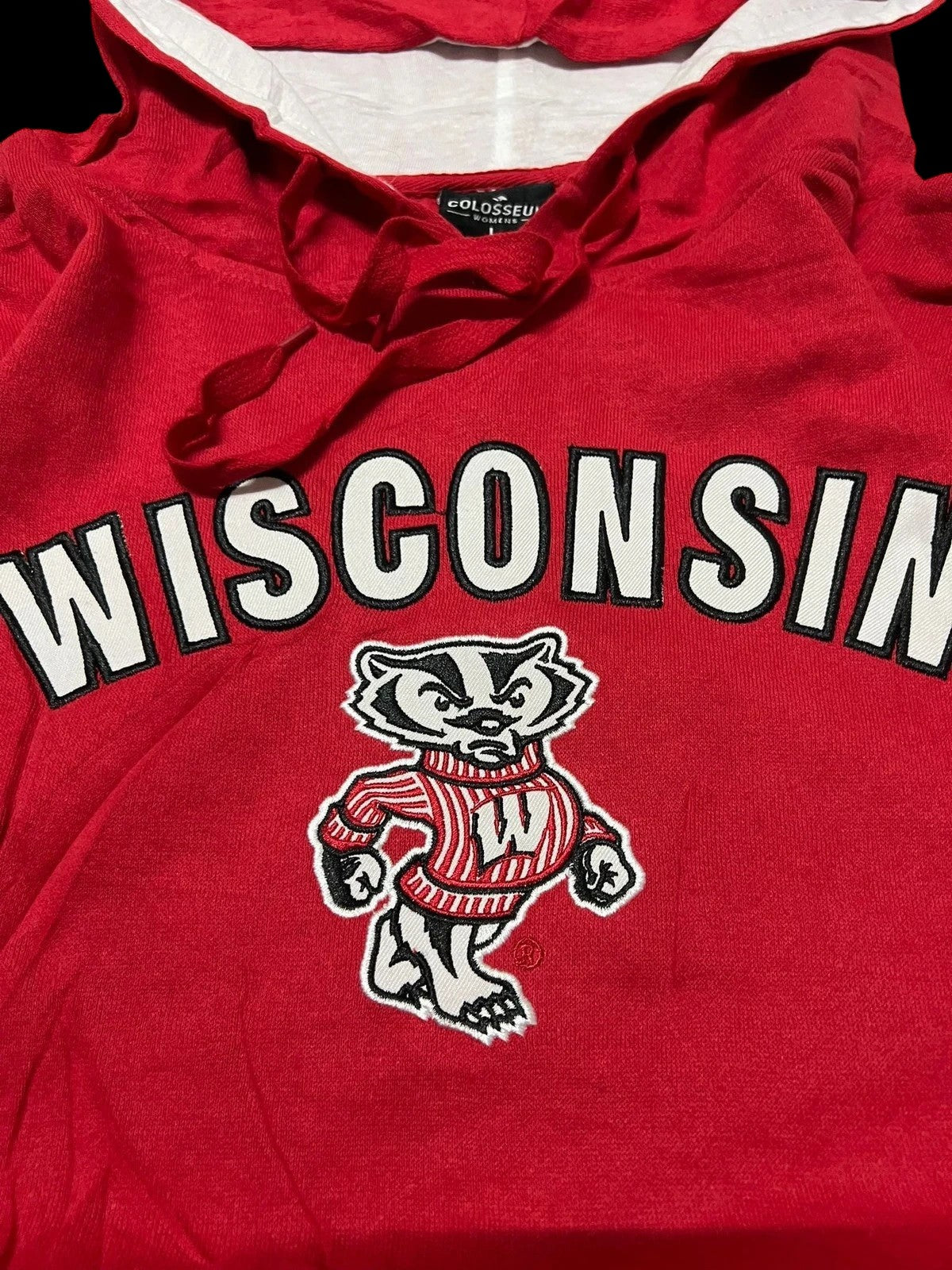 Premier Vintage red Wisconsin Badgers graphic hoodie with Bucky Badger mascot and "WISCONSIN" text. Features drawstring hood and kangaroo pocket.